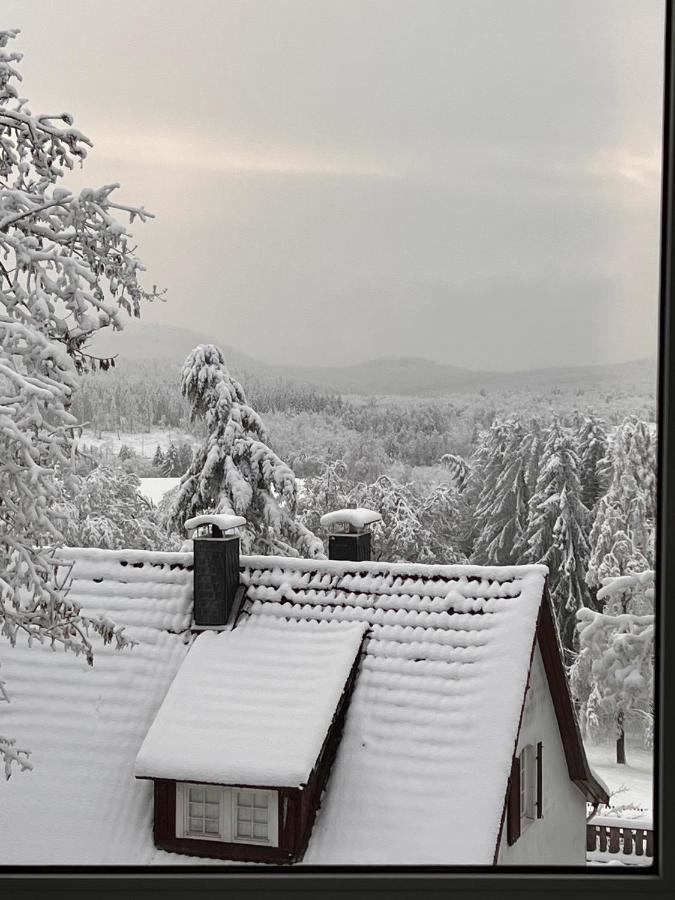 Chalet627 Braunlage Exterior photo